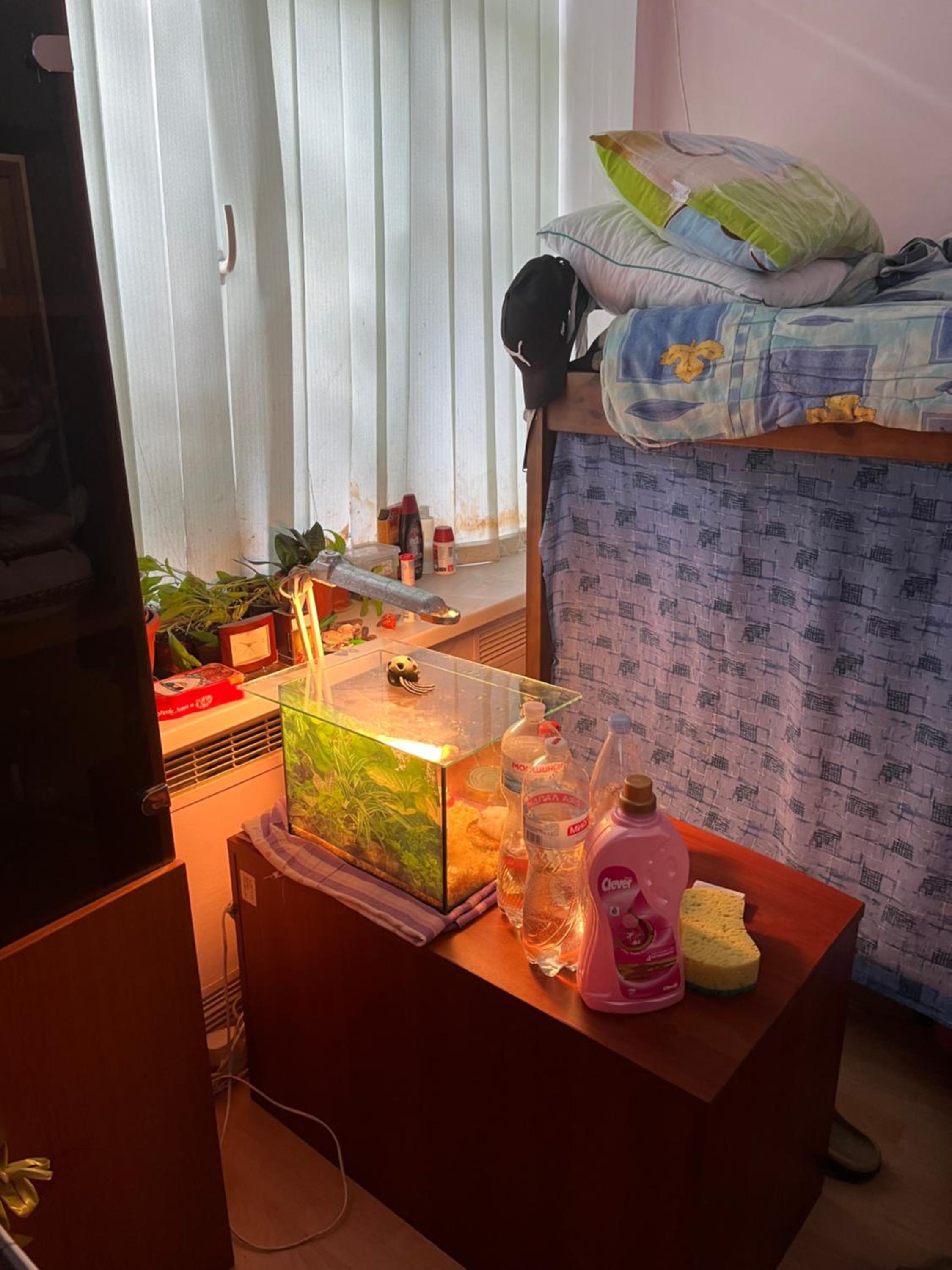 Photo 44