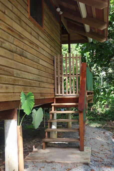 Jungle beach 2 bedroom cottage view 4