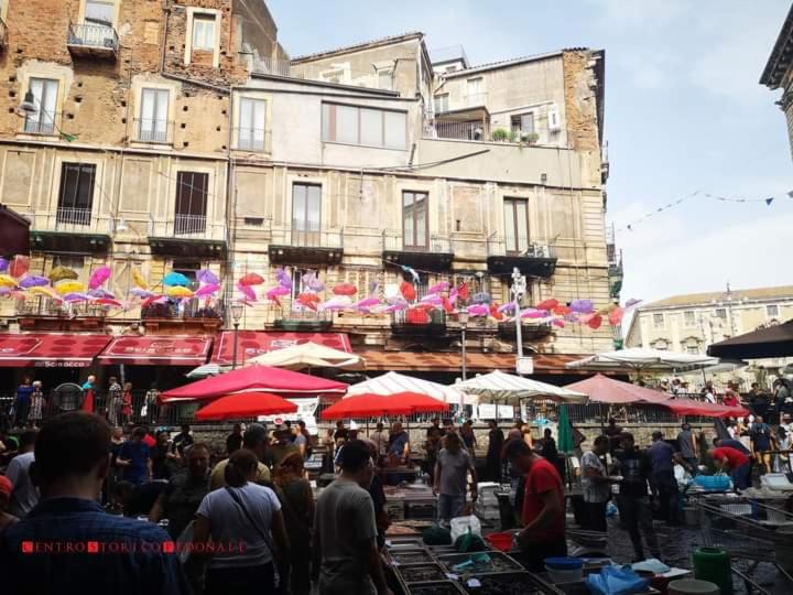 A casuzza view 2