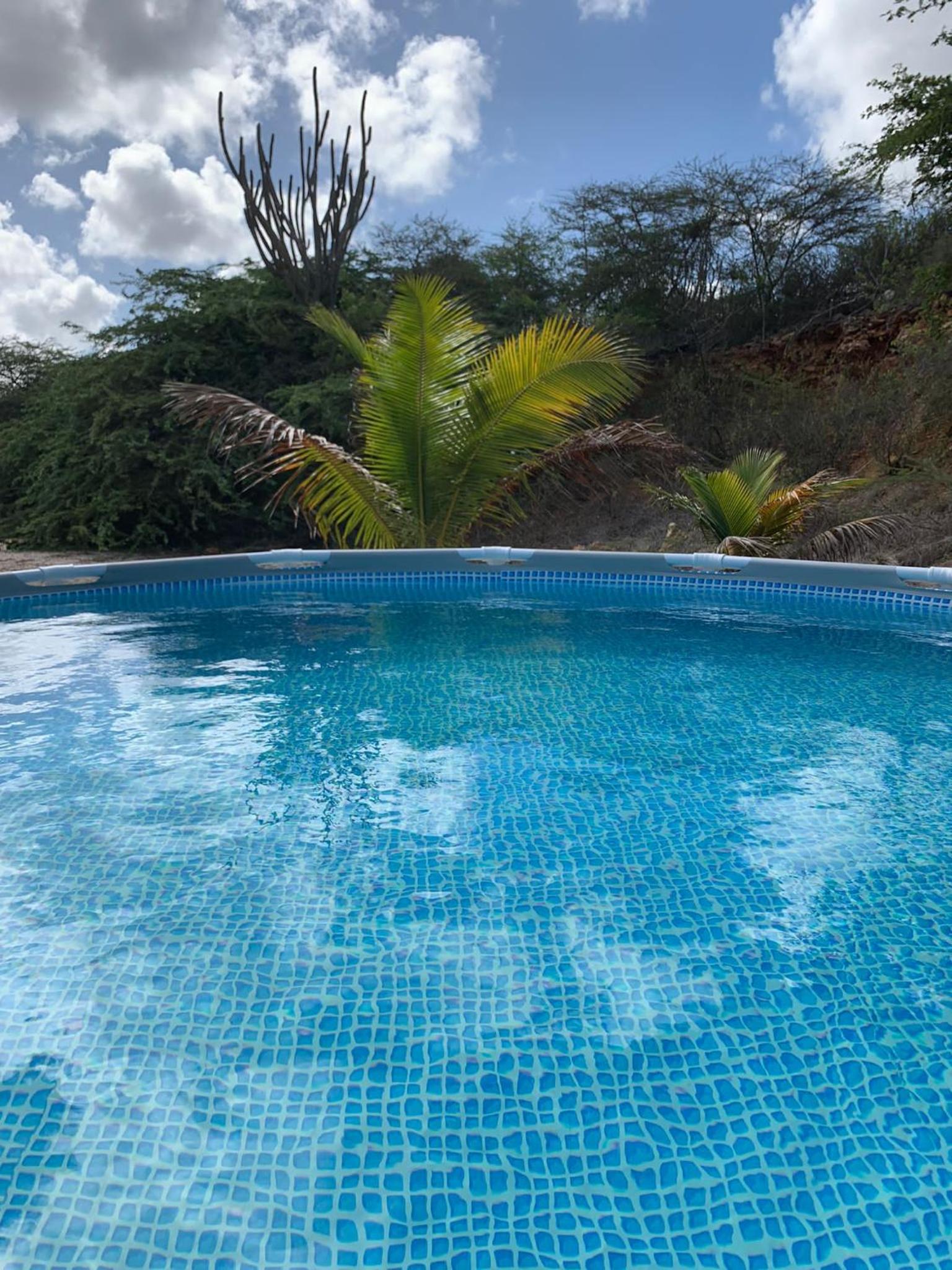 Centrally located spacious apartment