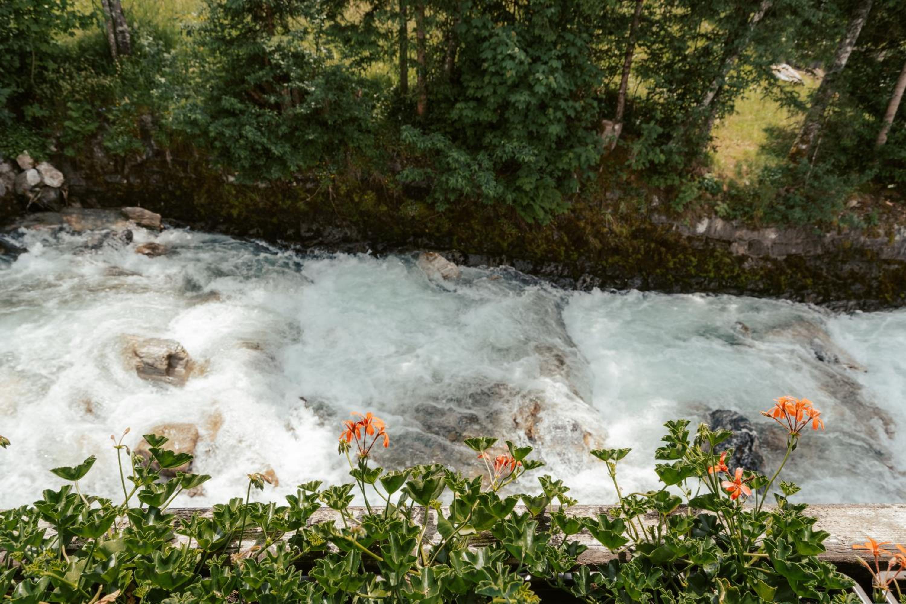 Ferienwohnungen Badbruckerweg- Bad Gastein