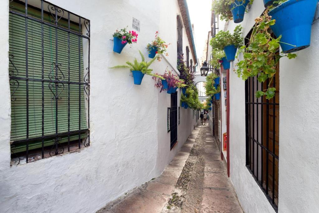 Apartamento Centro Azahar II
