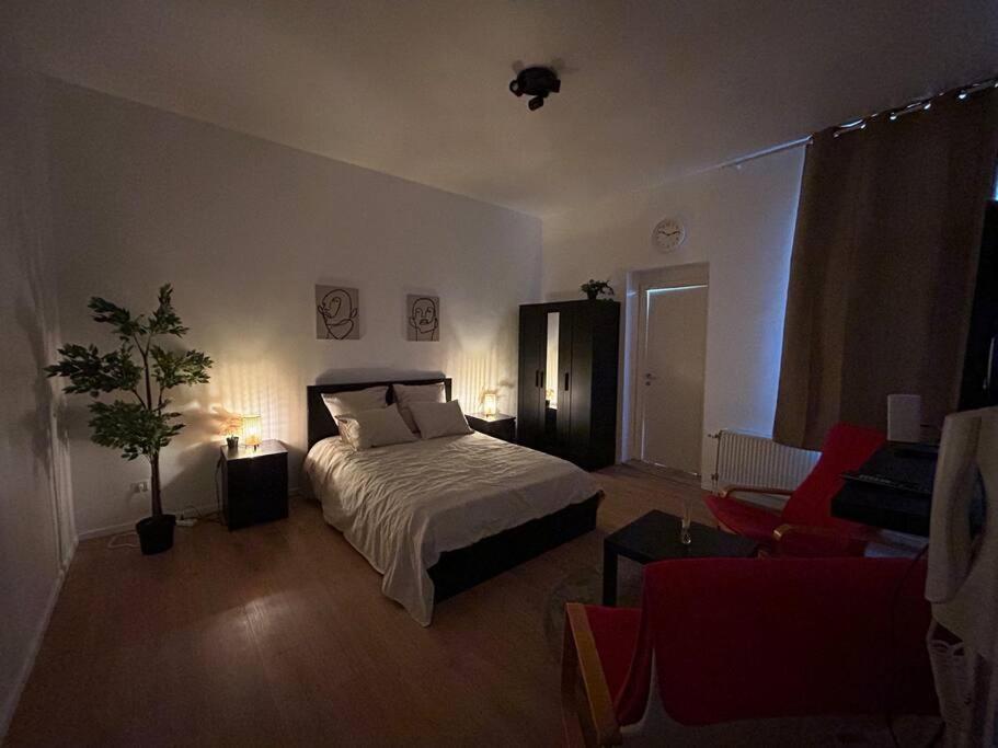 Laeken : Cocon Chaleureux & Confort