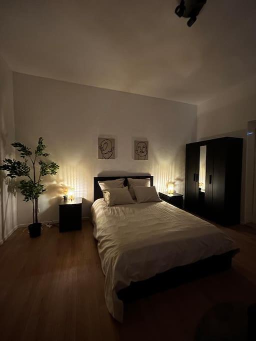 Laeken : Cocon Chaleureux & Confort