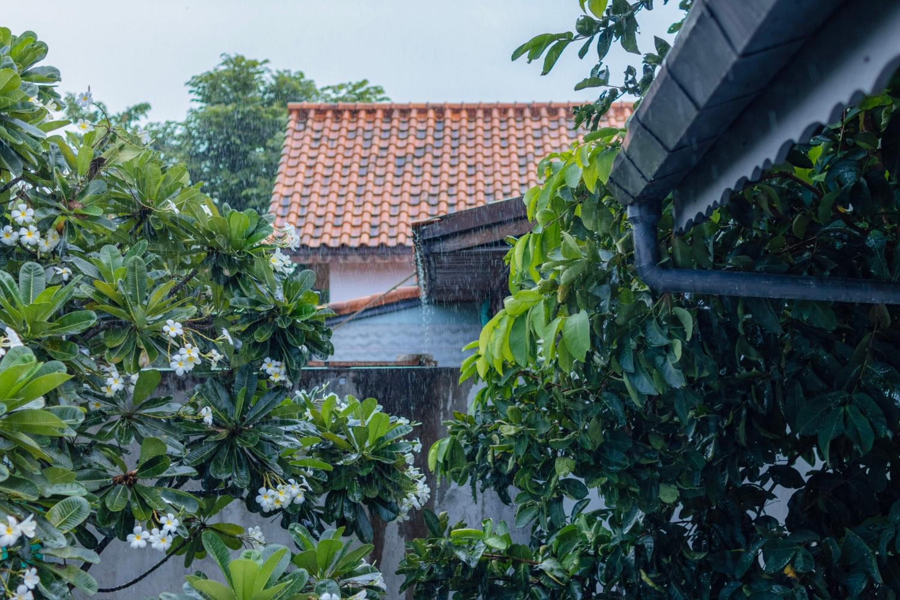Ai House Nimman Chiang Mai