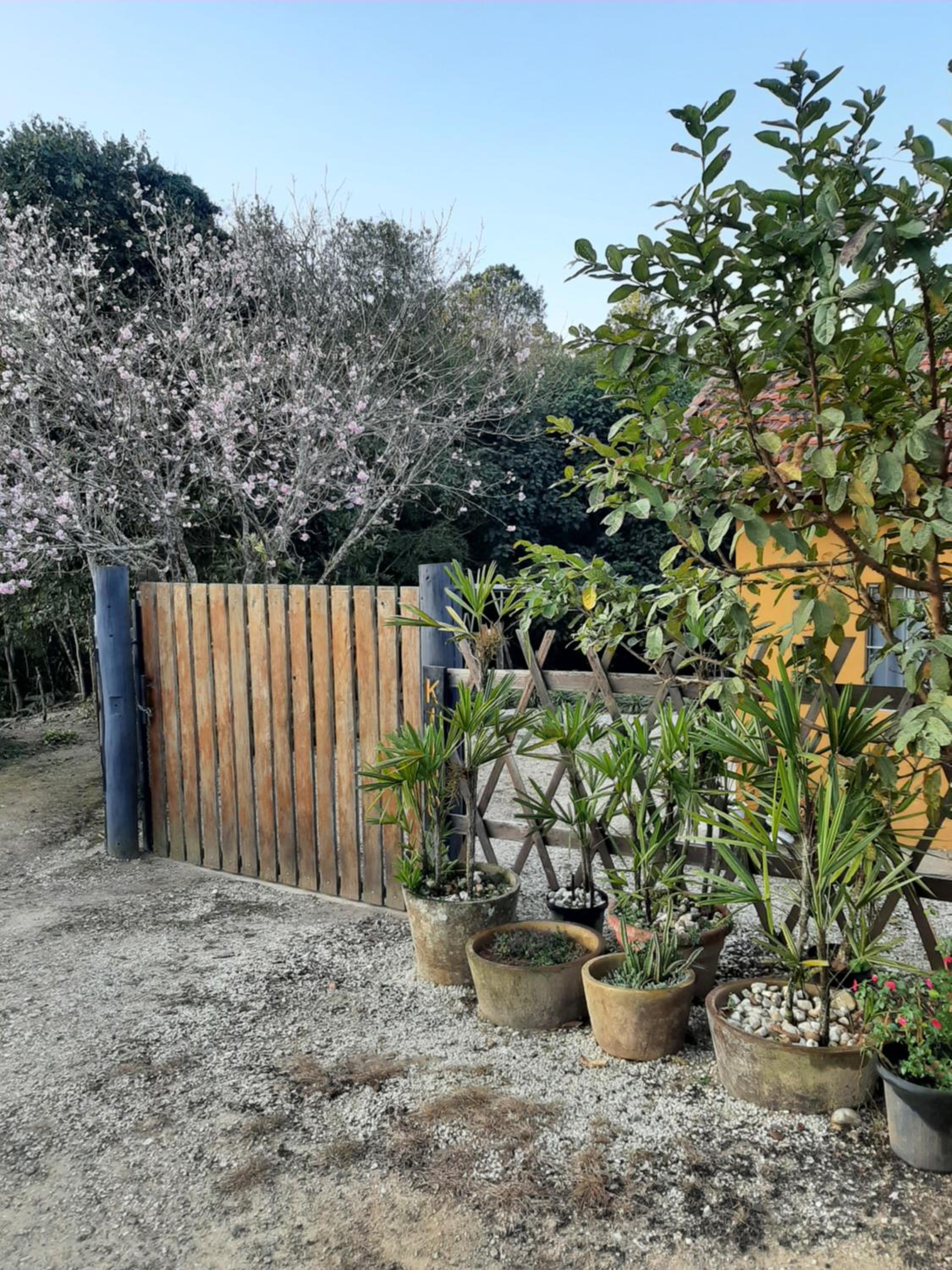 Casa Kiiro, um ambiente tranquilo e de sossego.