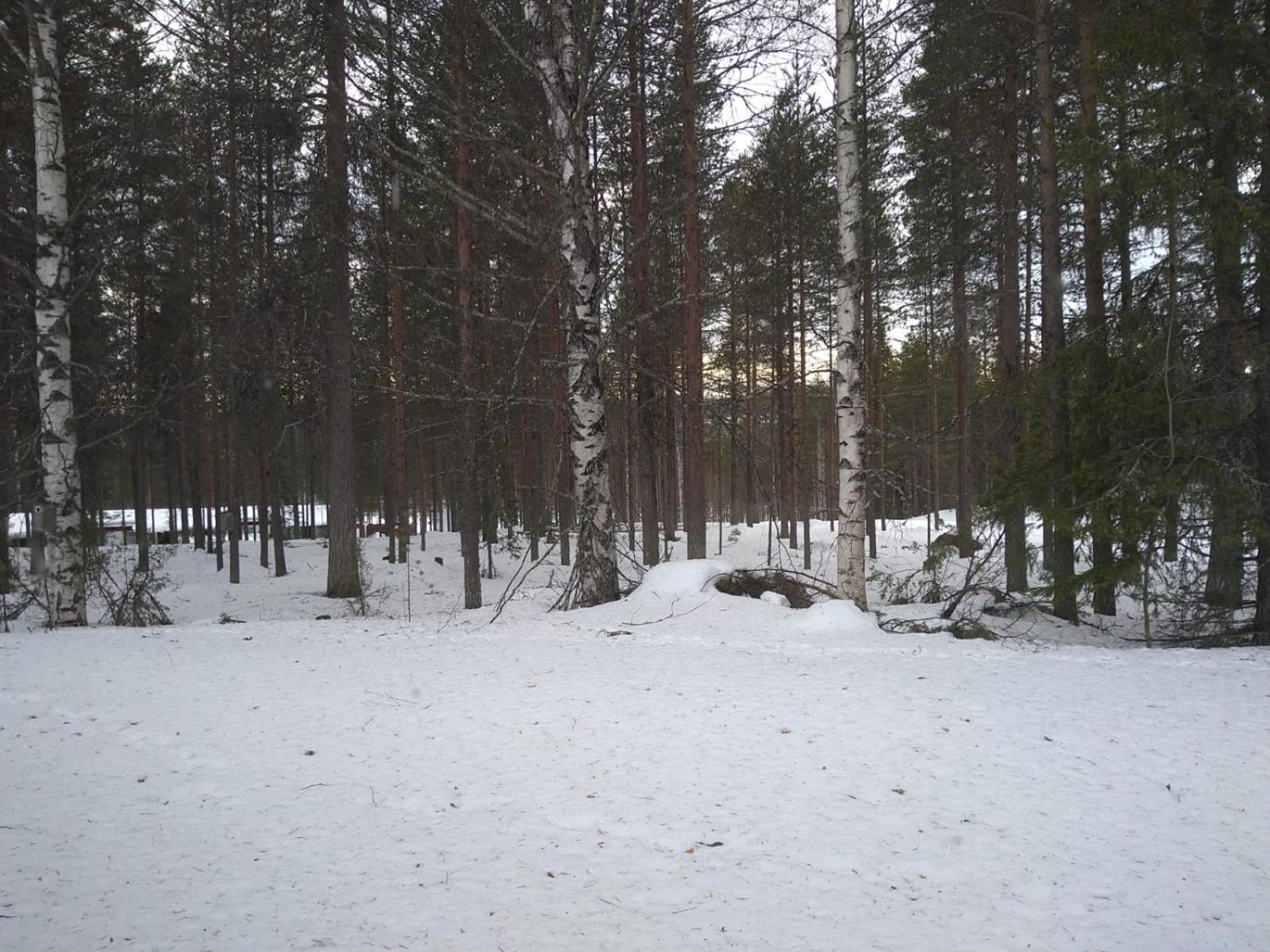 Wanha Kaivoskylä Mainari Oy