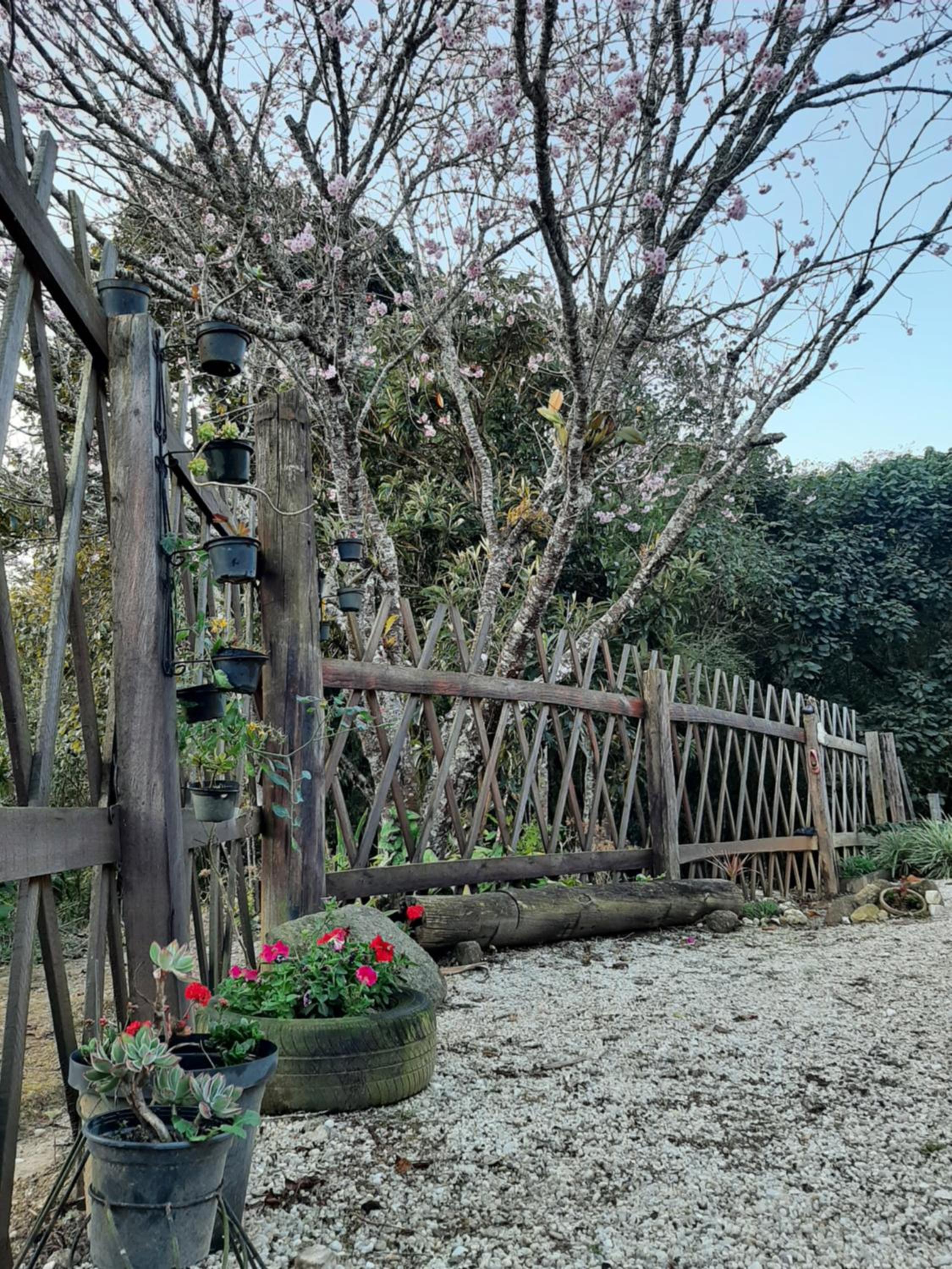 Casa Kiiro, um ambiente tranquilo e de sossego.
