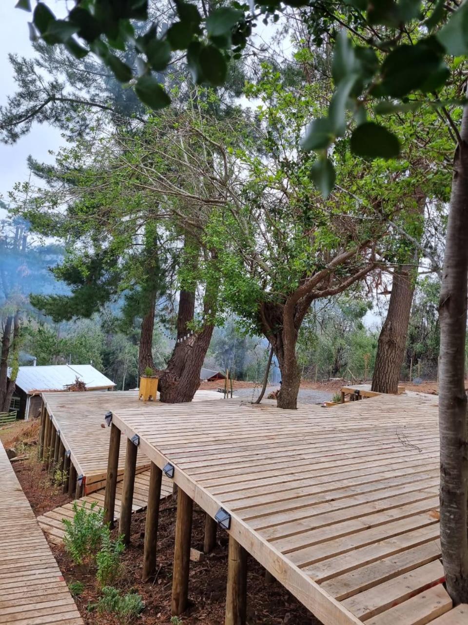 Cabañas Alto Quillay, radal siete tasas