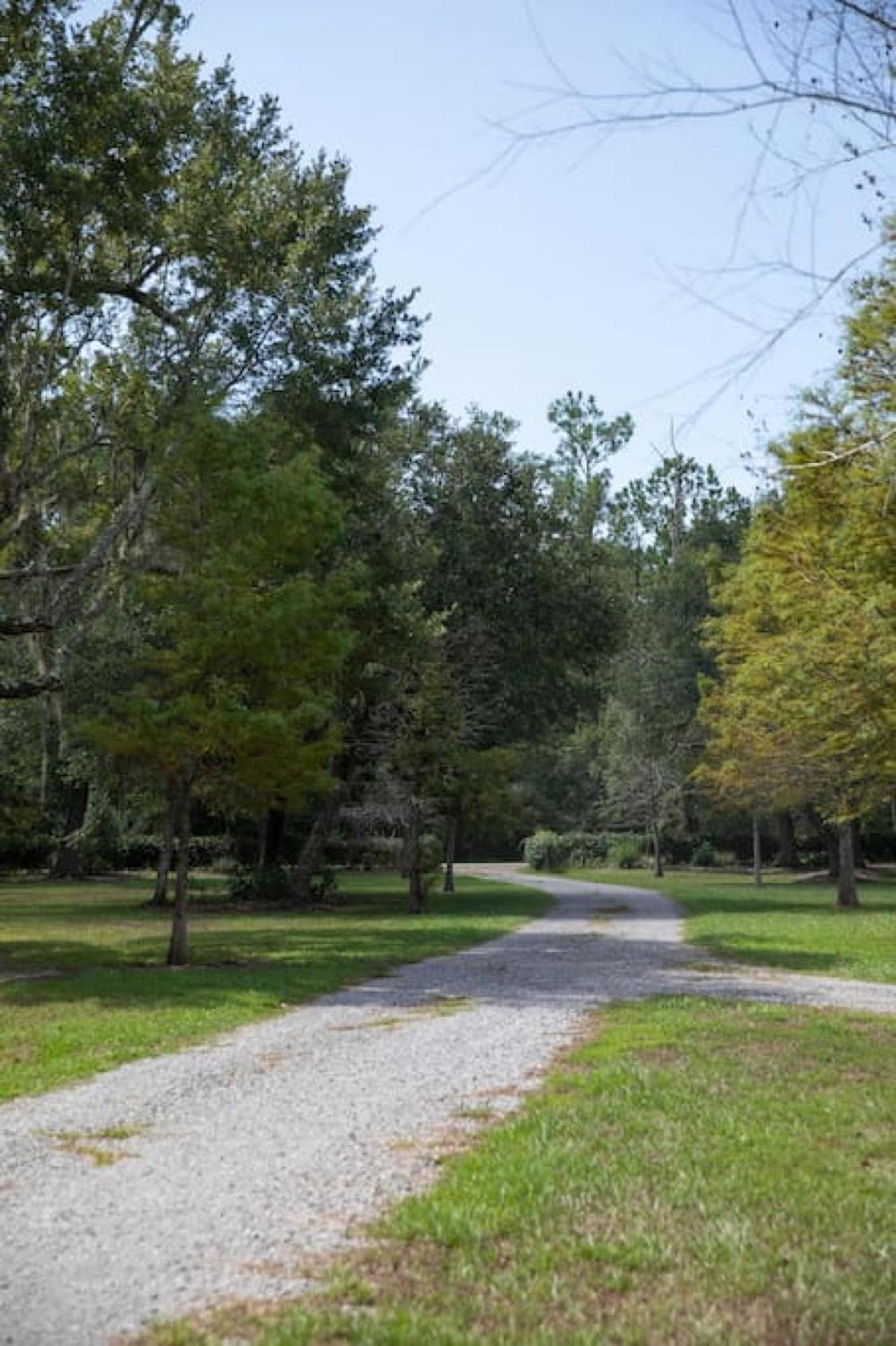 Cypress Landing