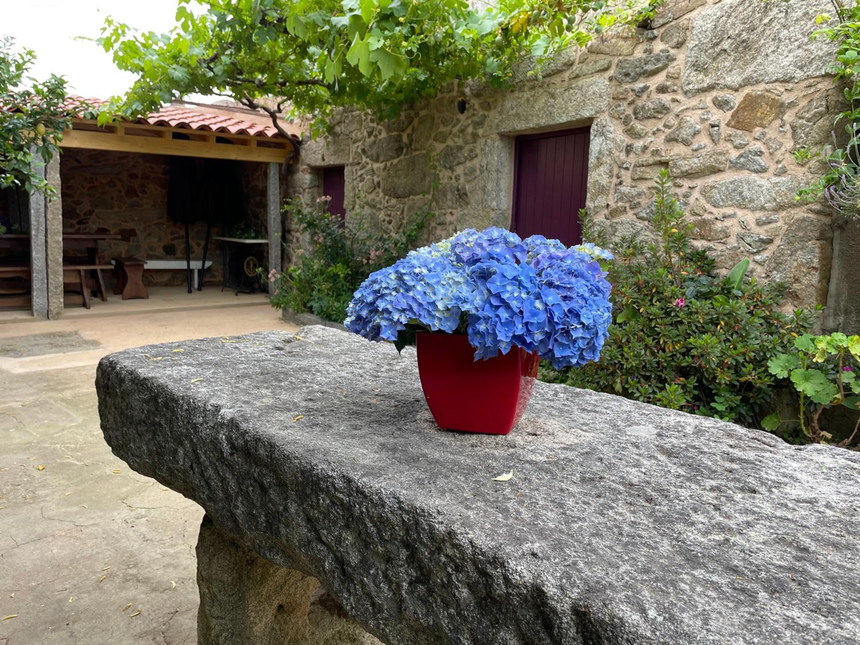 SantiagoFamilyHouse - Casa Velha - Cottage