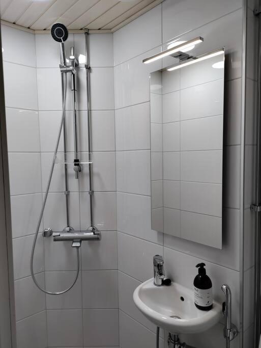 Top-floor studio, near park & sea, great transit