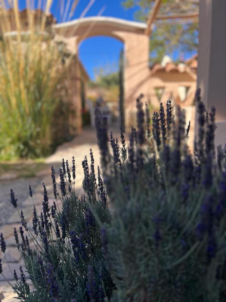 Los Arcabuceros Casa Hotel Boutique