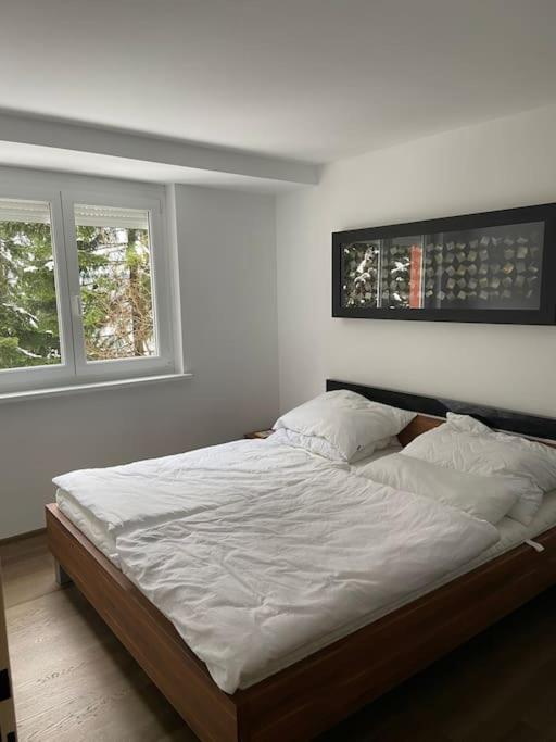 Seewohnung mit direktem Seezugang-Skiliftnähe