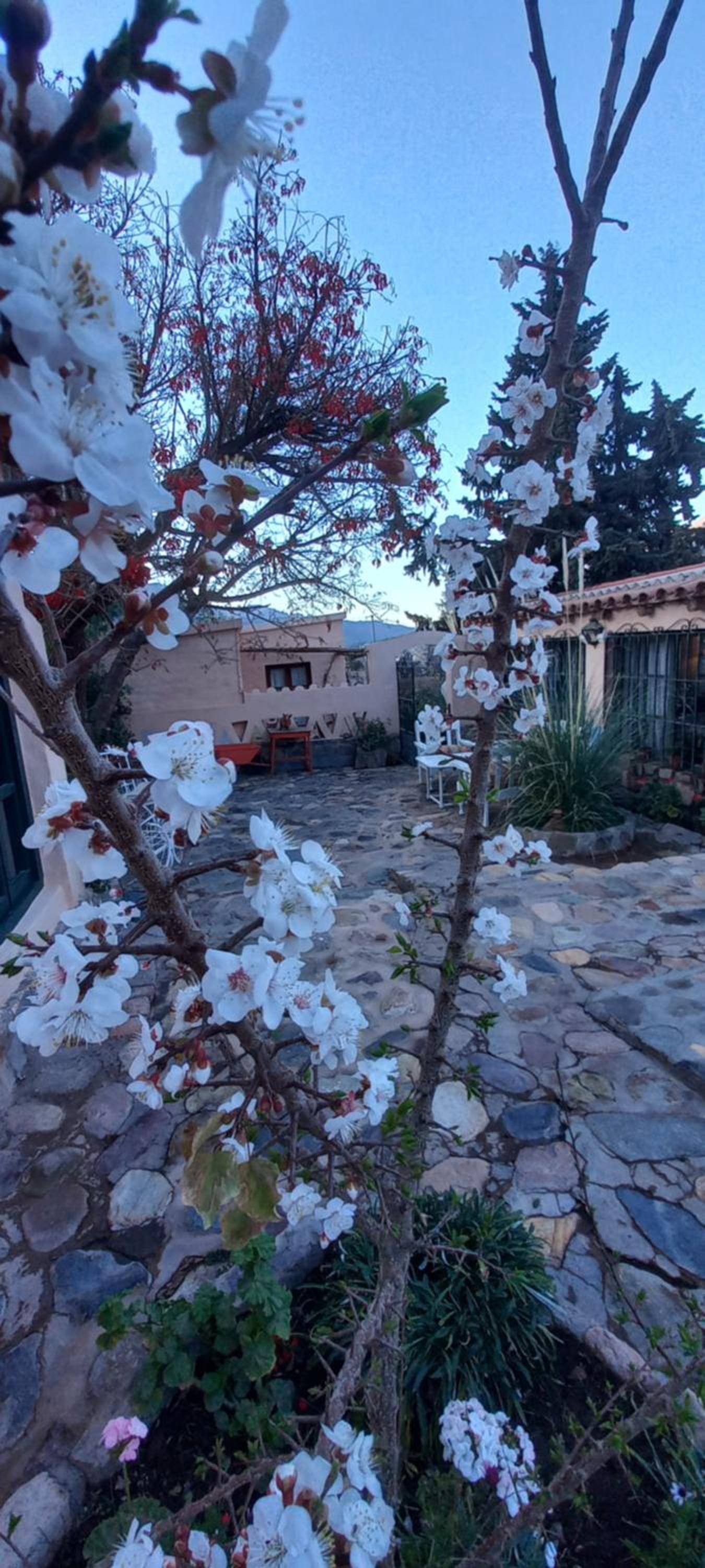 Los Arcabuceros Casa Hotel Boutique