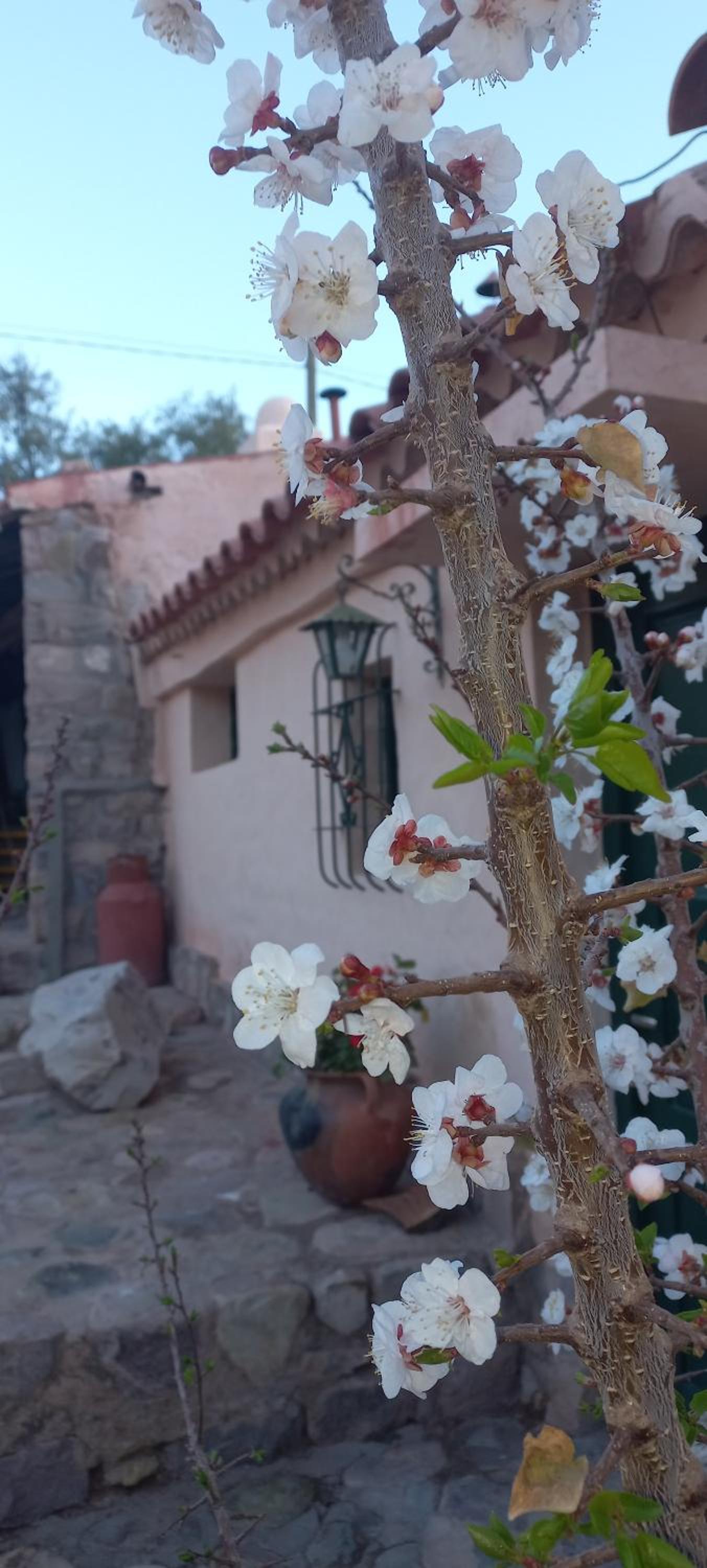 Los Arcabuceros Casa Hotel Boutique