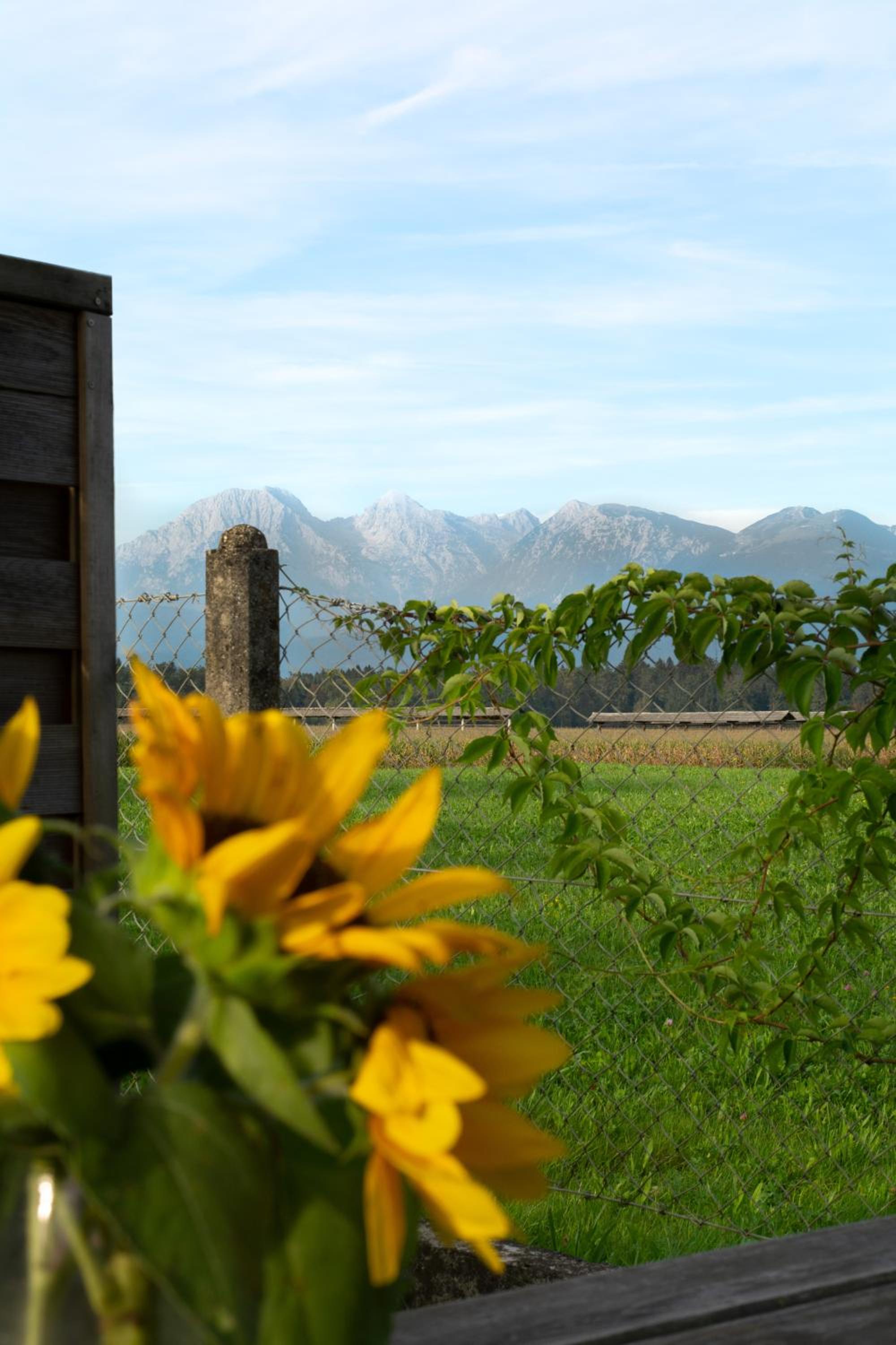 Glamping with a view