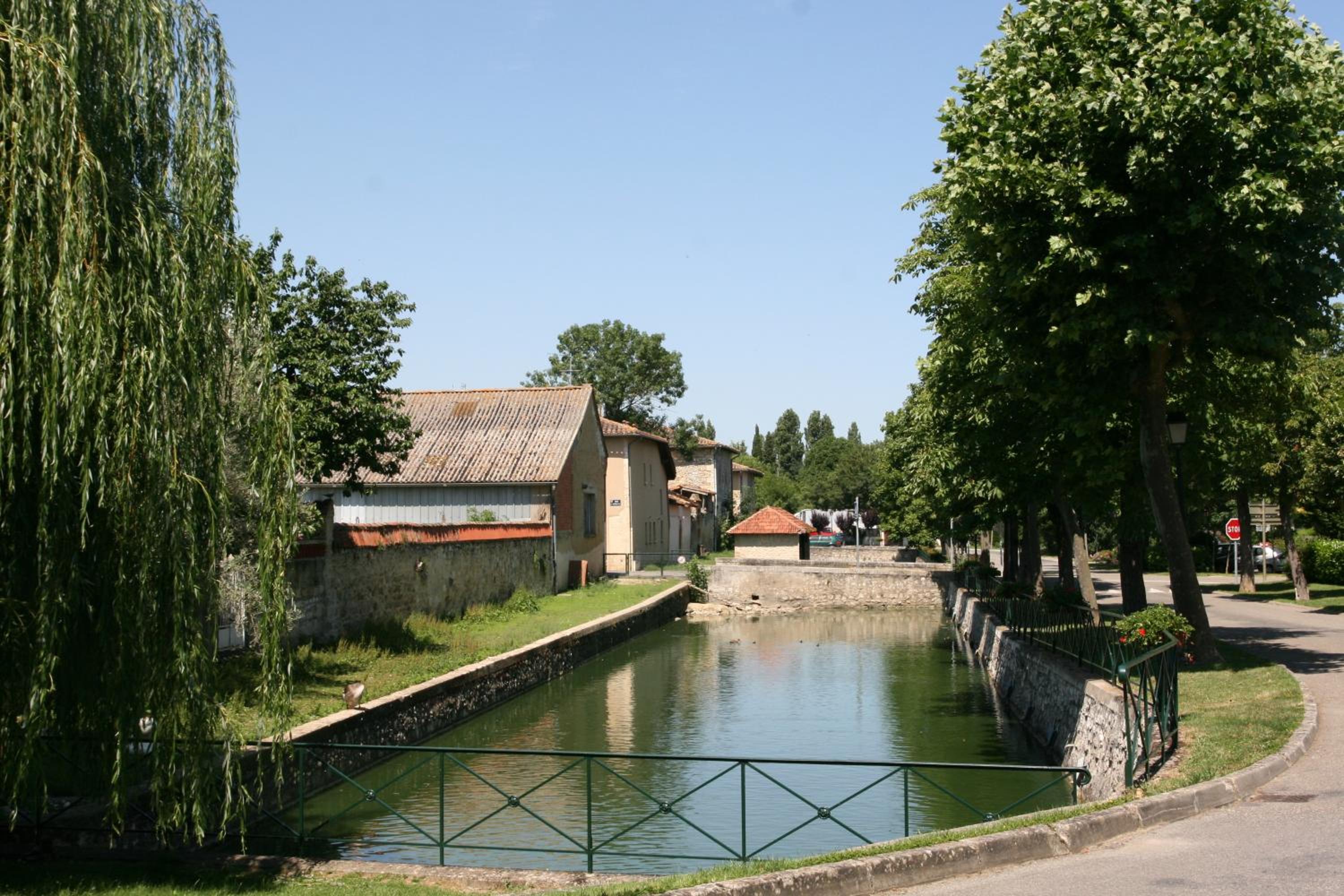 Photo 40