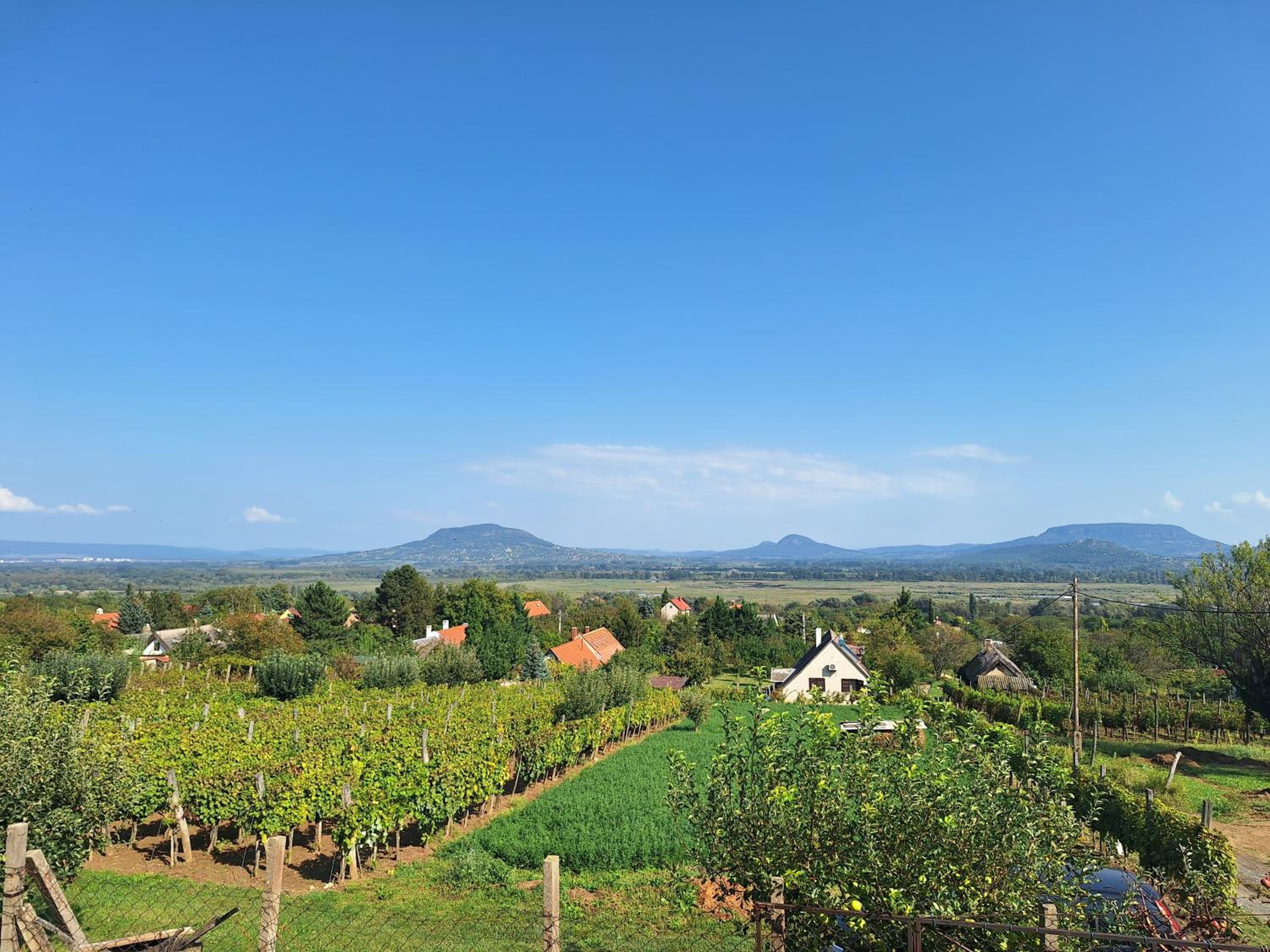 BALATONHEGYVIDÉKI APARTMAN