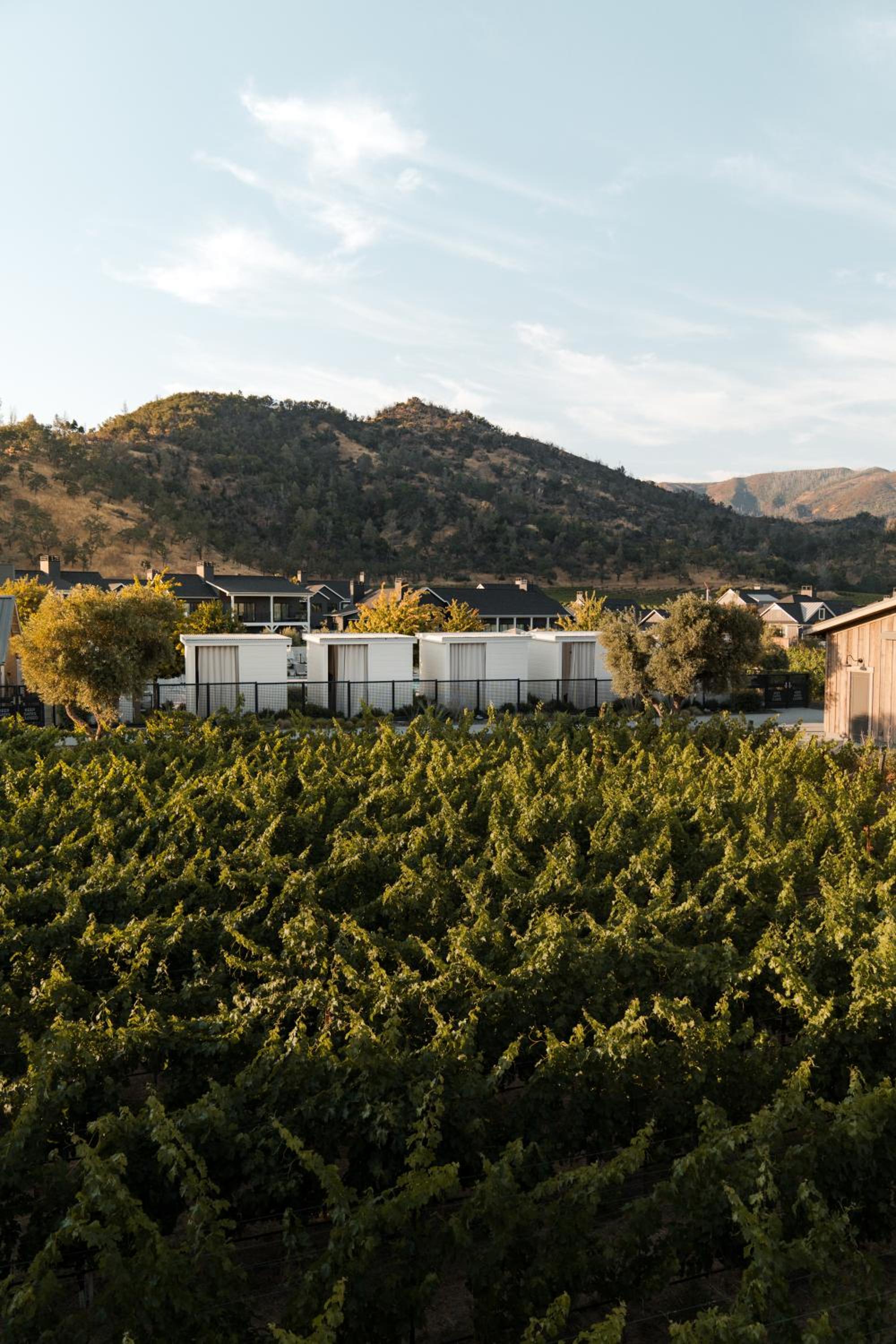 Napa Valley / Sonoma Vacations - Four Seasons Resort Napa Valley - Property Image 32