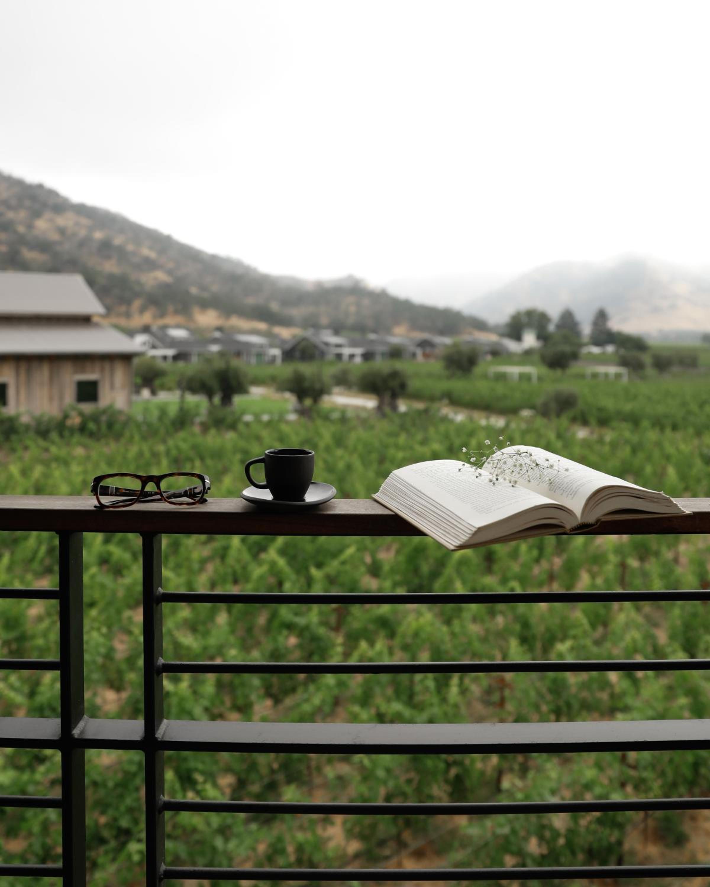 Napa Valley / Sonoma Vacations - Four Seasons Resort Napa Valley - Property Image 30