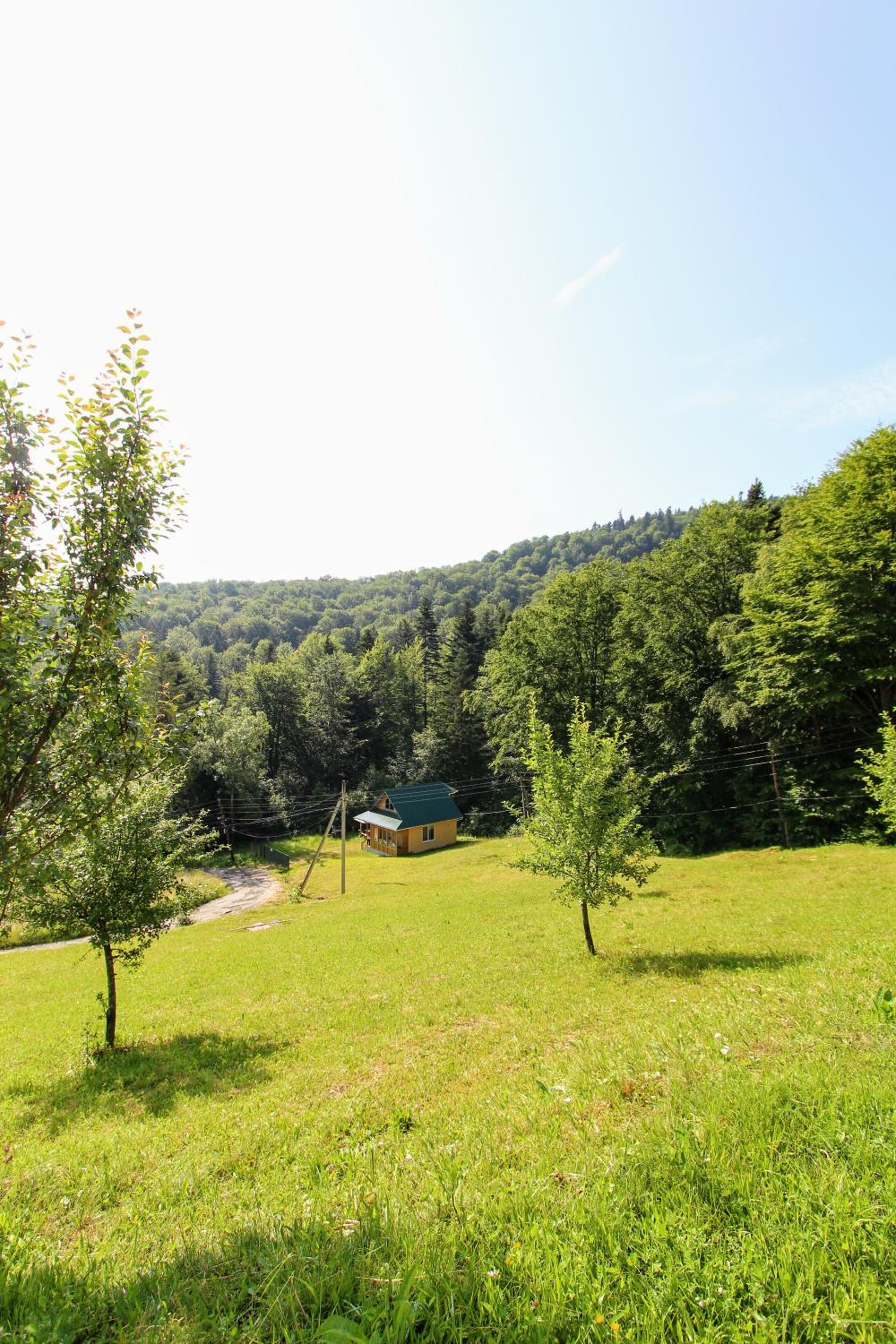 Gribochok