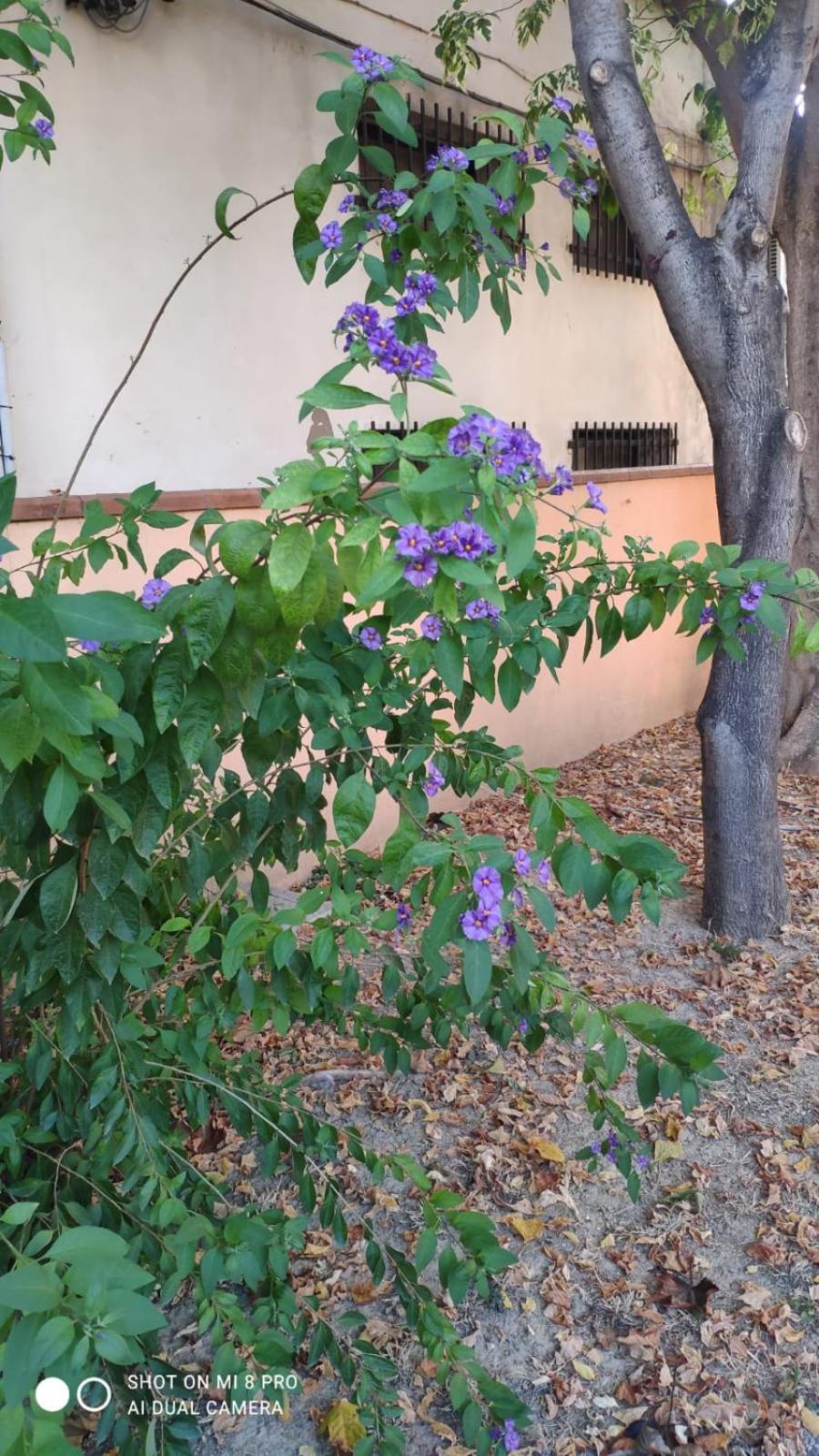 Photo 60