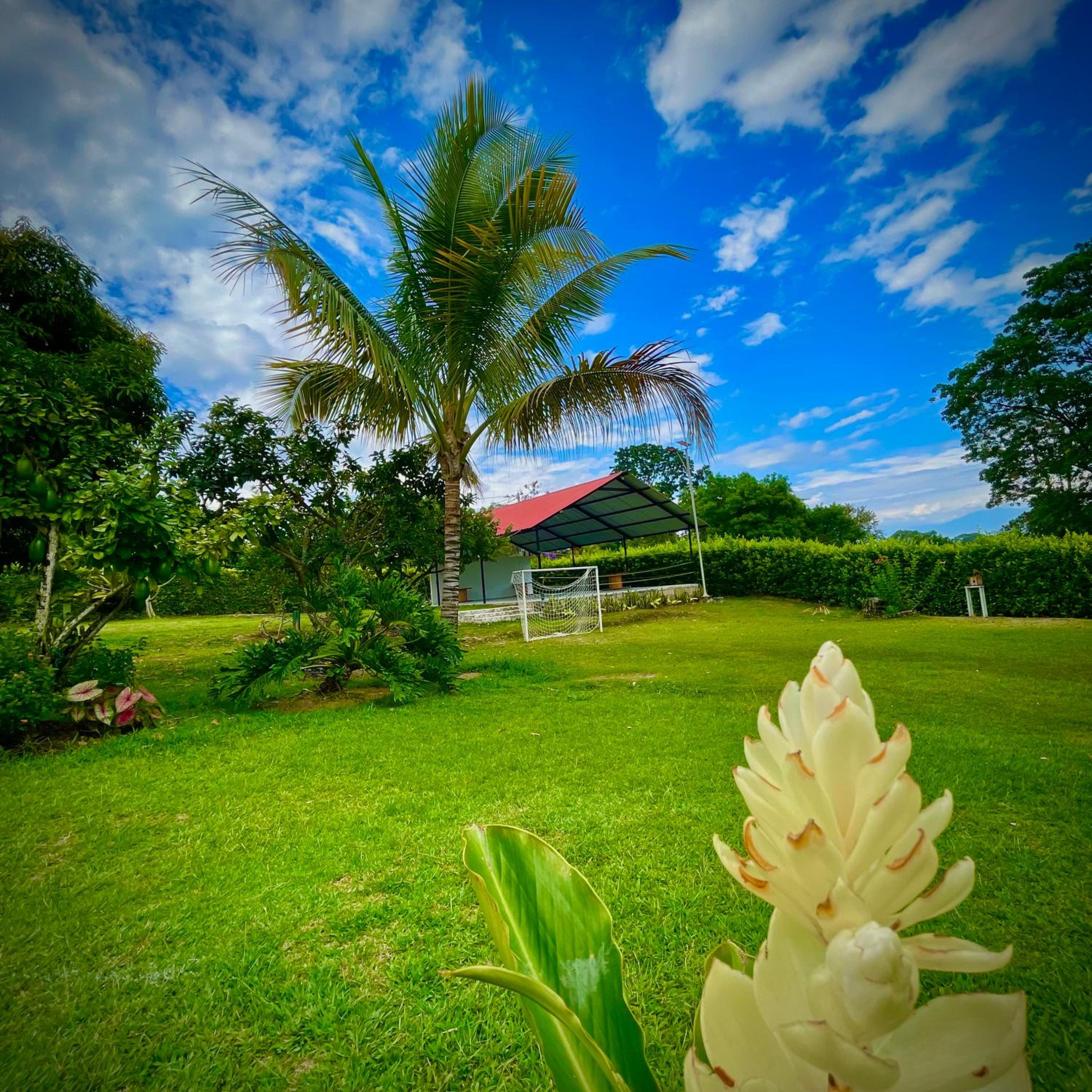 Finca Santa Clara, Rivera-Huila - Property Image 17