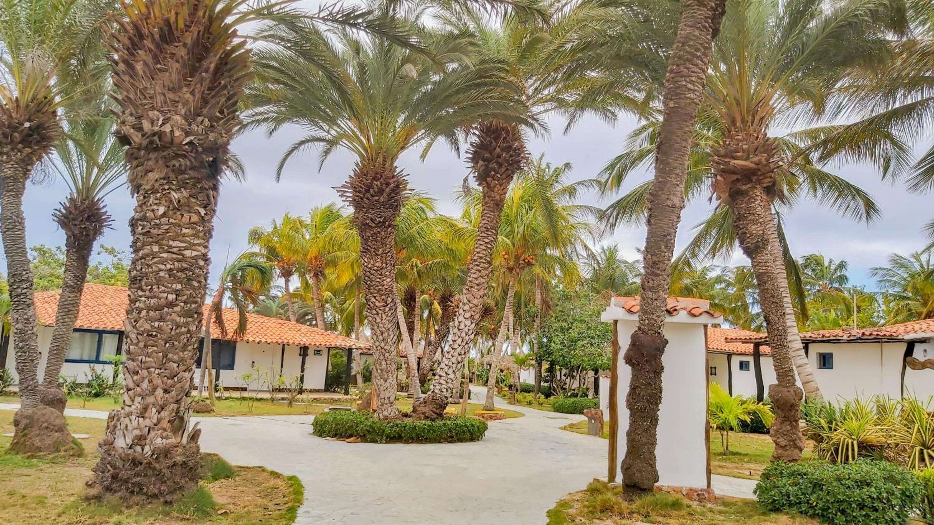 Sunsol Punta Blanca - Photo 36