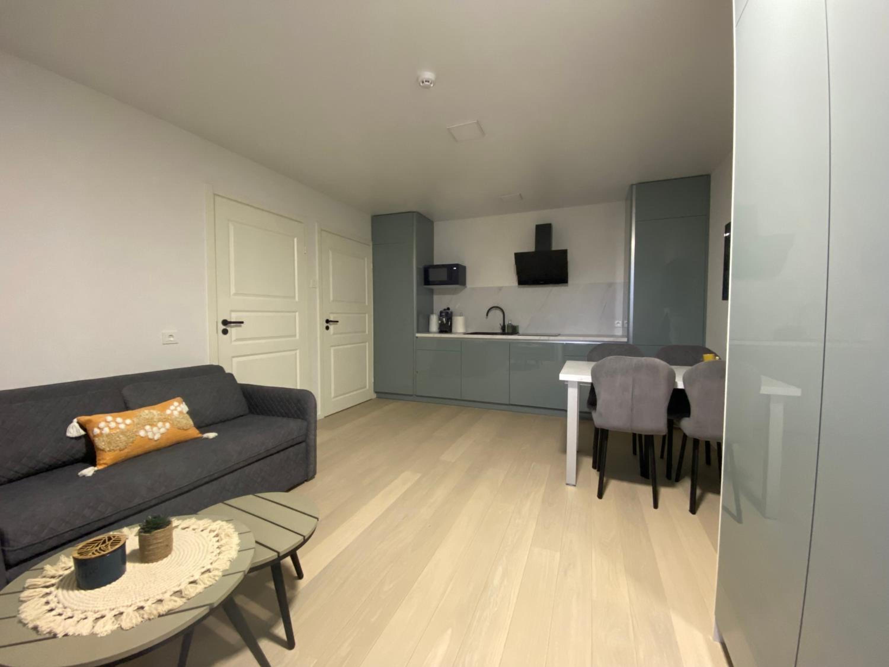 Lafa Vanagupės apartamentai view 4