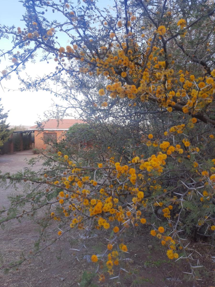 Las Escondidas casa serrana