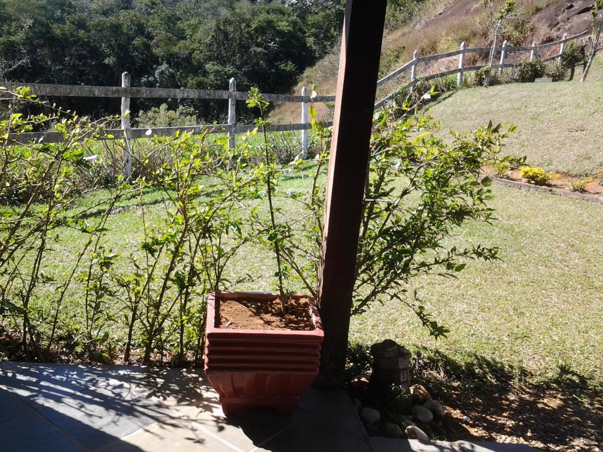 Pousada Chapadão
