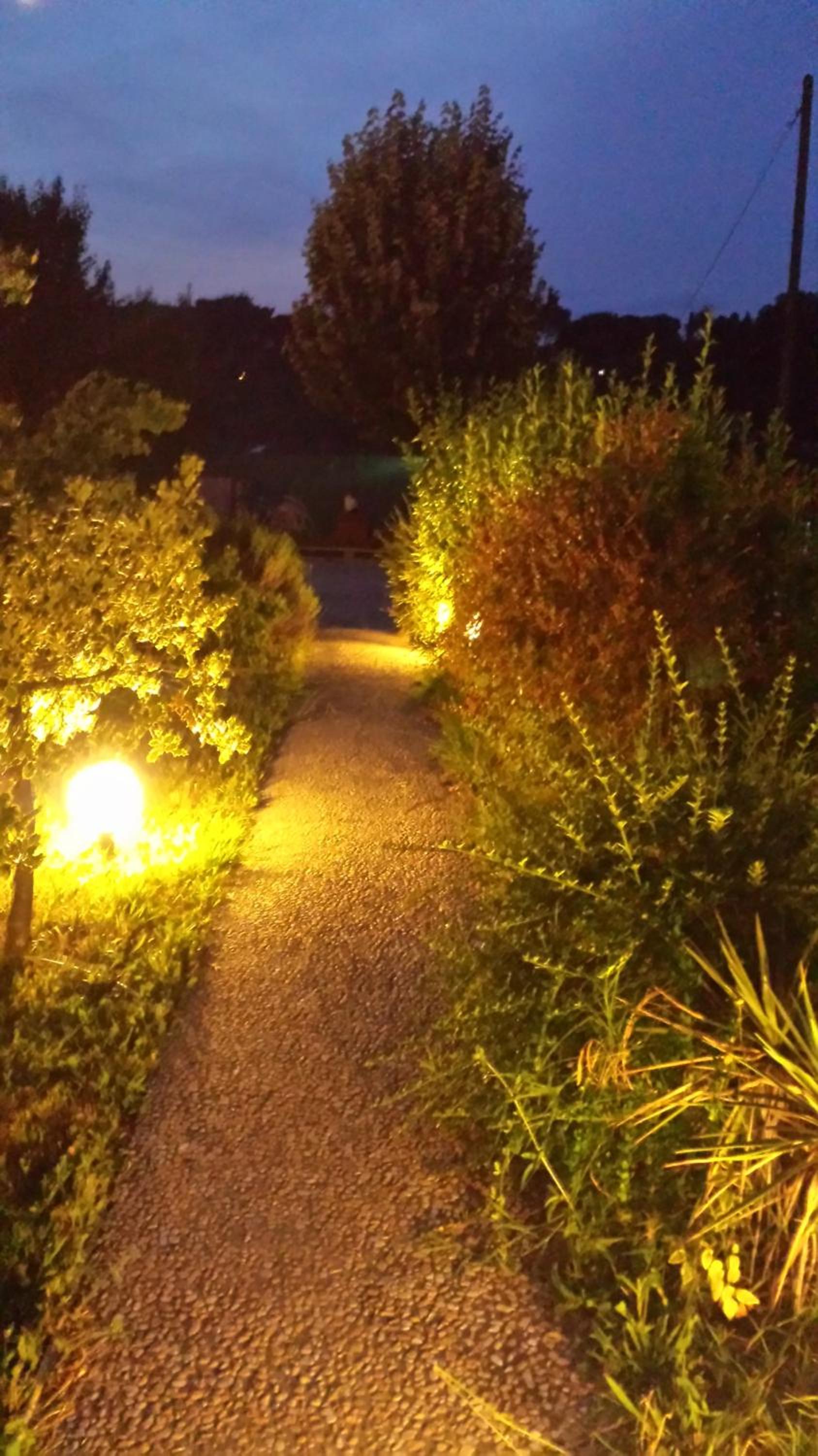 Photo 43