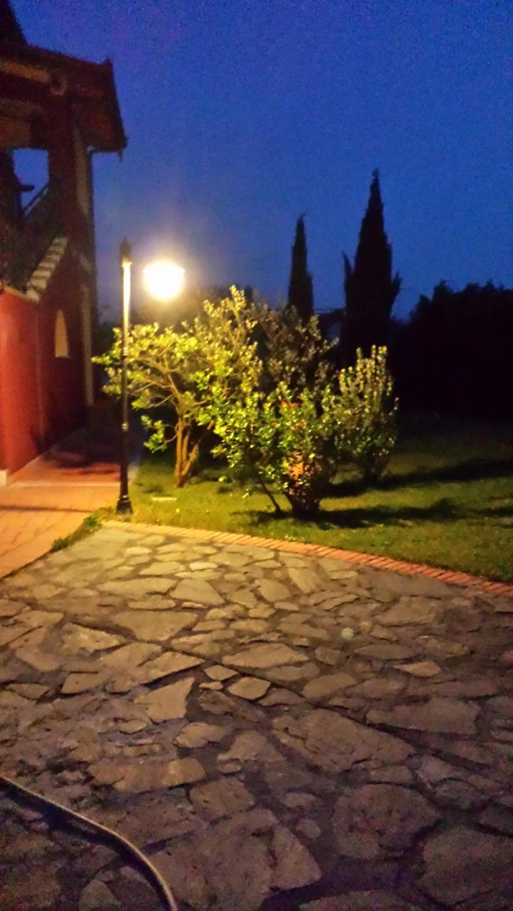 Photo 44