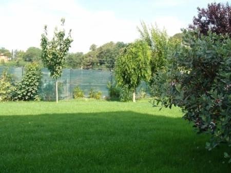 Photo 36