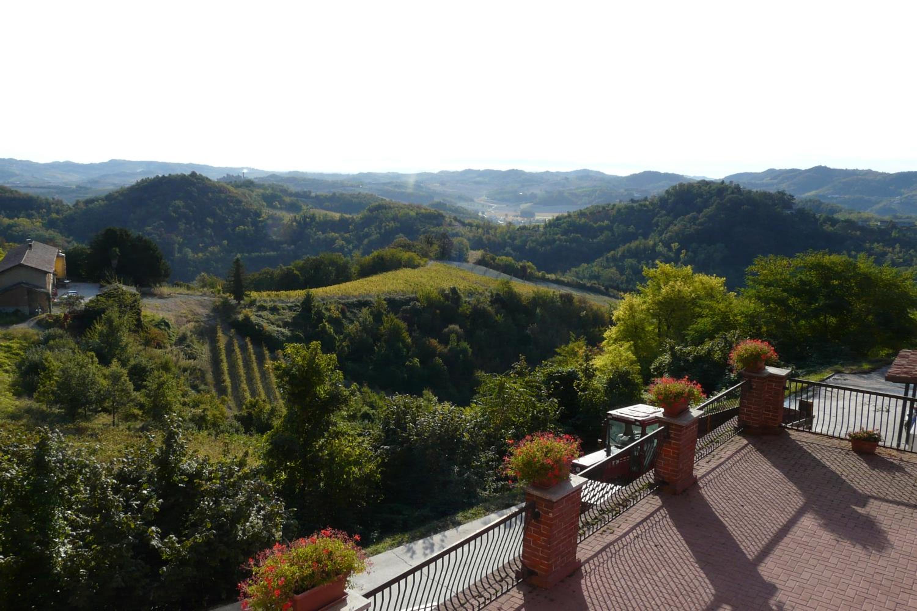 Tenuta Tenaglia