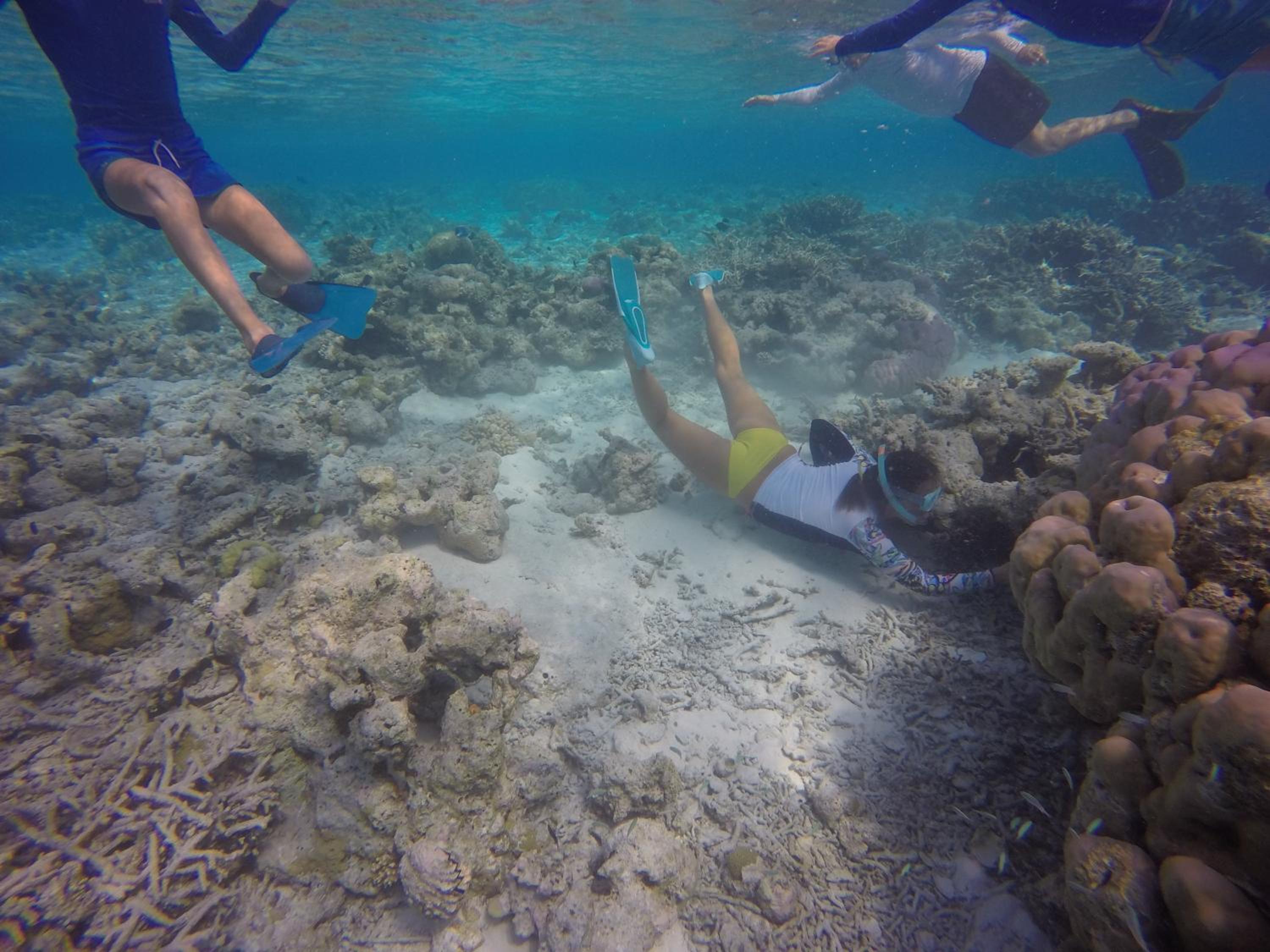 Kaafu Inn Guraidhoo