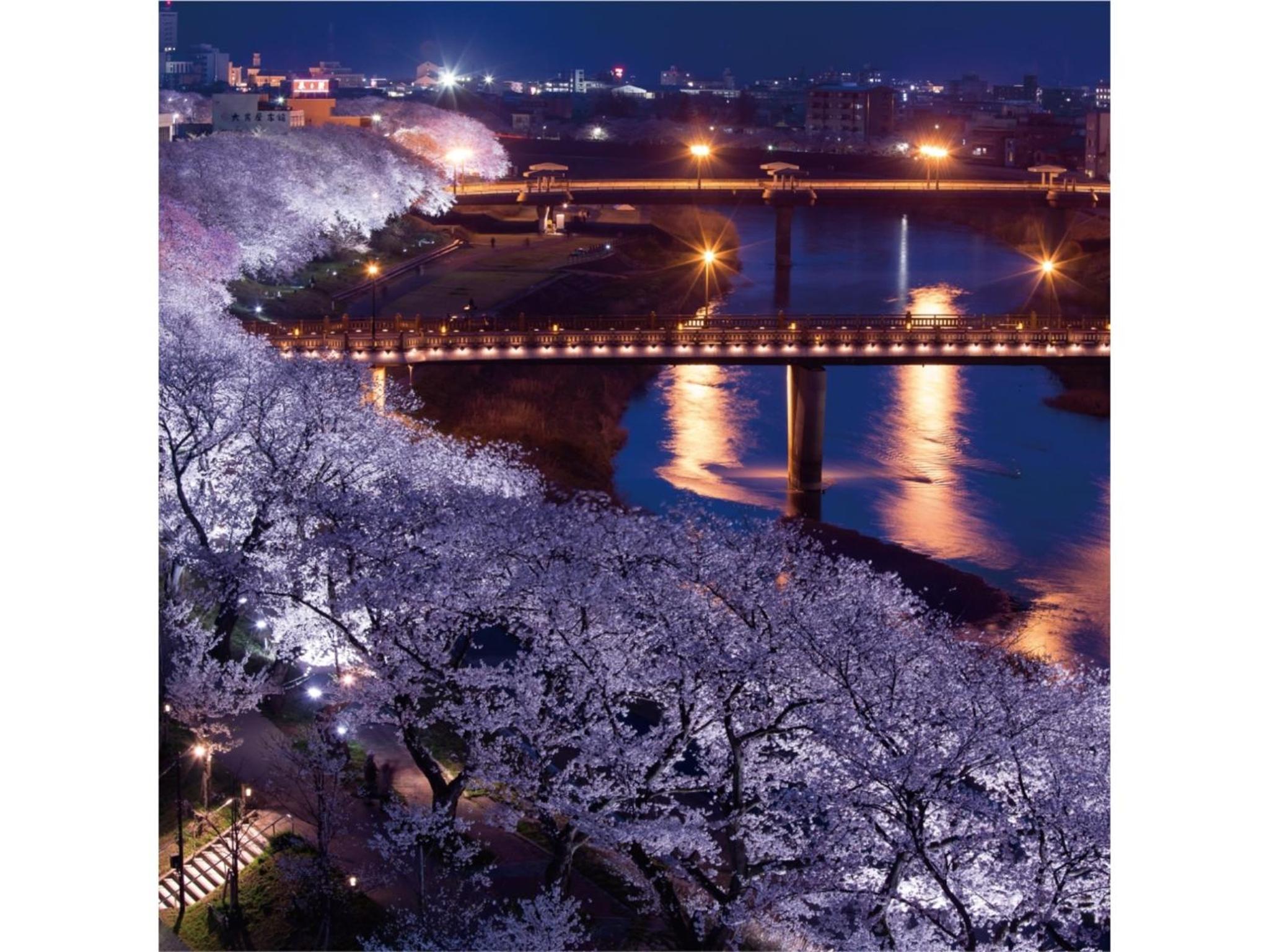 Centurion Hotel Villa Suite Fukui Ekimae - Vacation STAY 34532v view 5