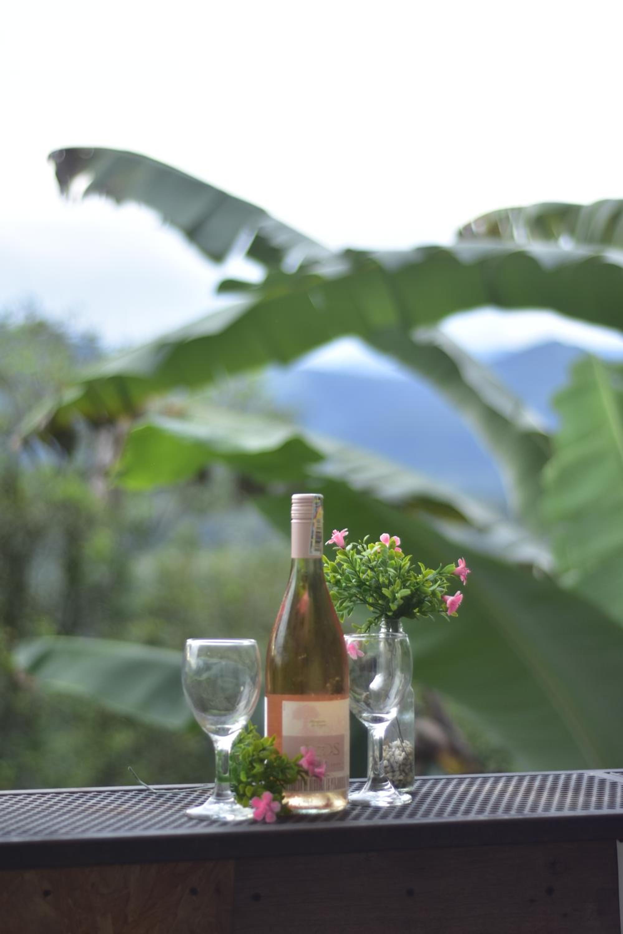 Eco-Glamping Panorama