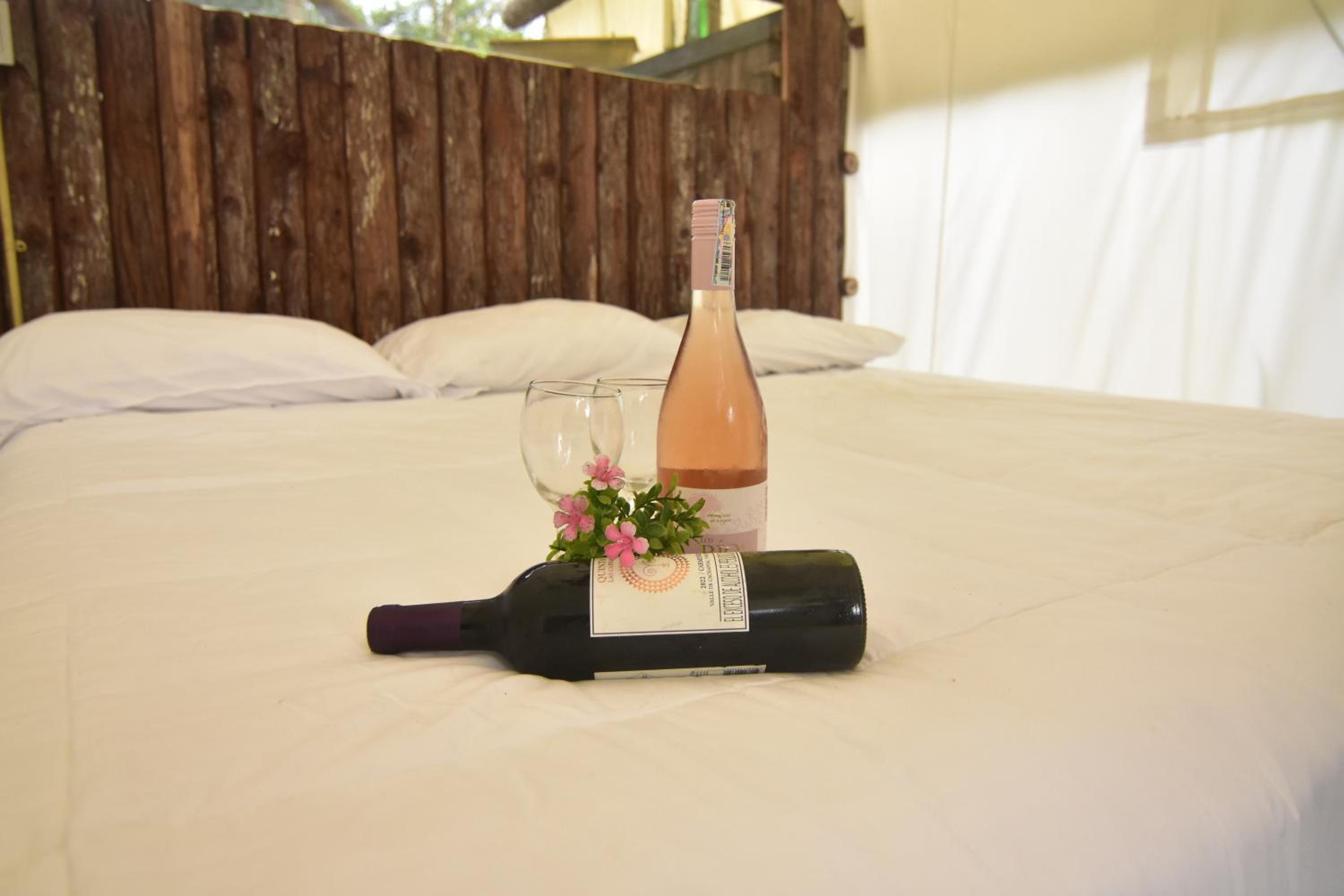 Eco-Glamping Panorama