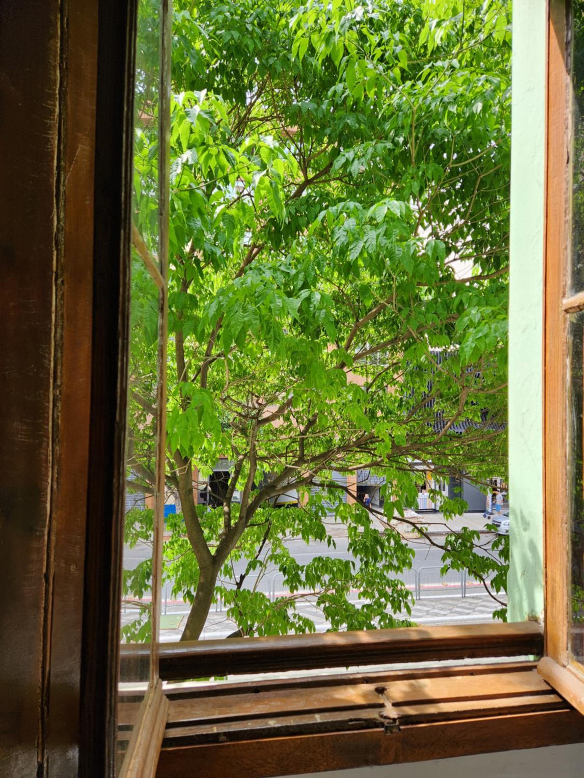 Fujima Hostel