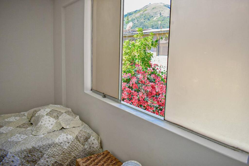 Mountain Home view 5