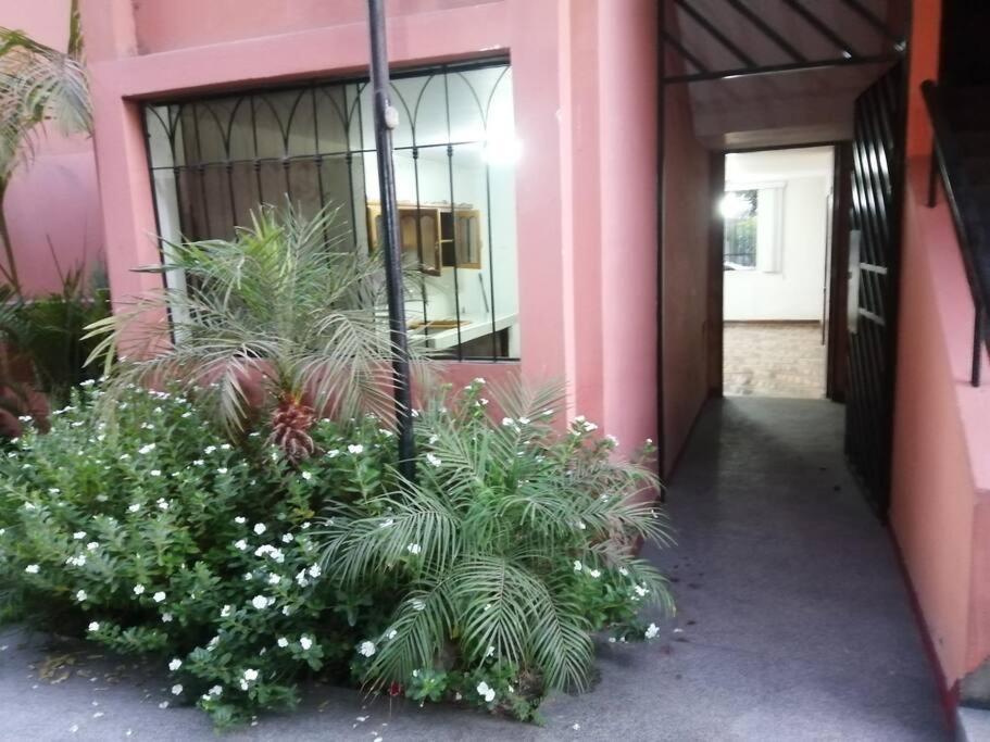 Departamento Completo Zona residencial la Molina