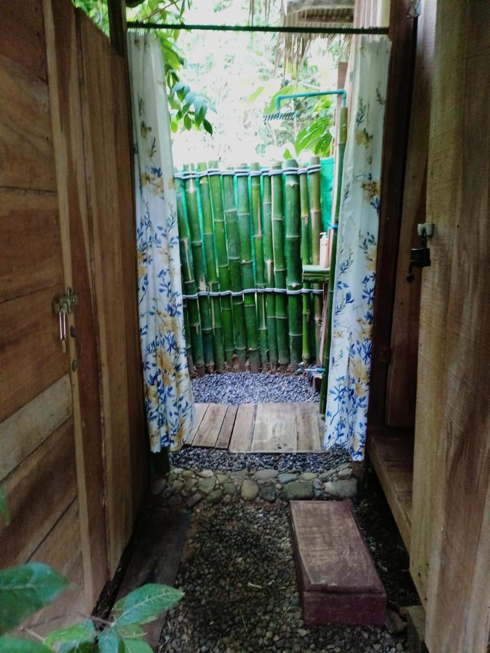 Hotel Boutique The Green Jungle House
