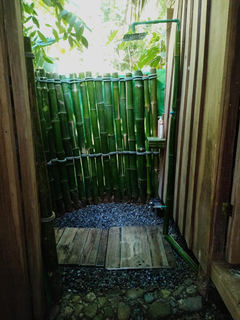 Hotel Boutique The Green Jungle House