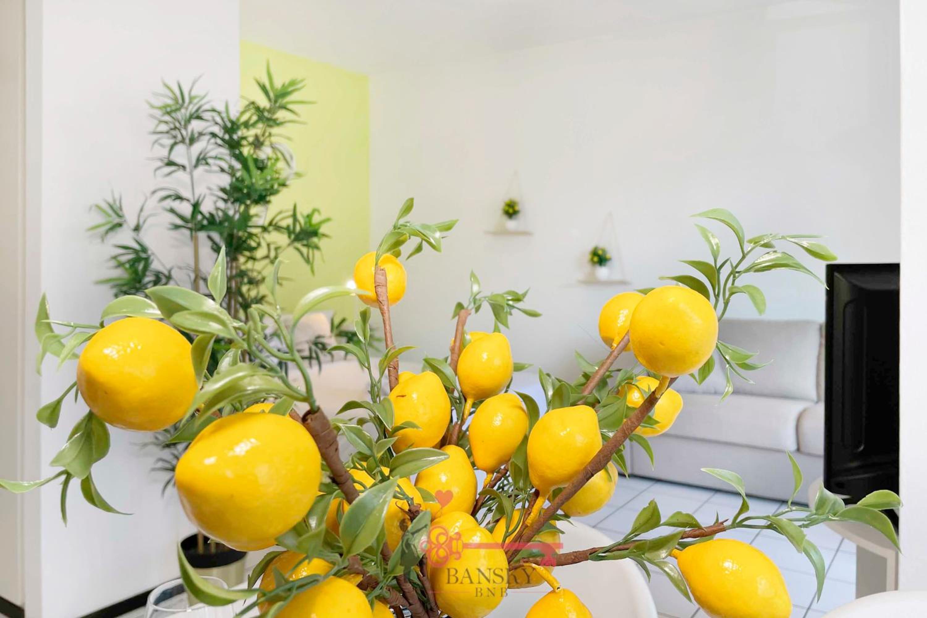 Lime Splendido x4PAX Lugano City -By EasyLife Swiss