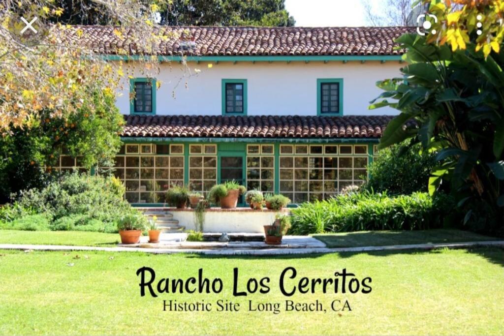 Beautiful Spacious 2 Bedroom, 2 Bathroom Condo view 2