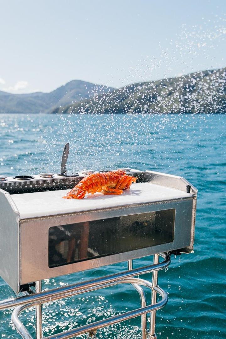 Indian Summer Charter