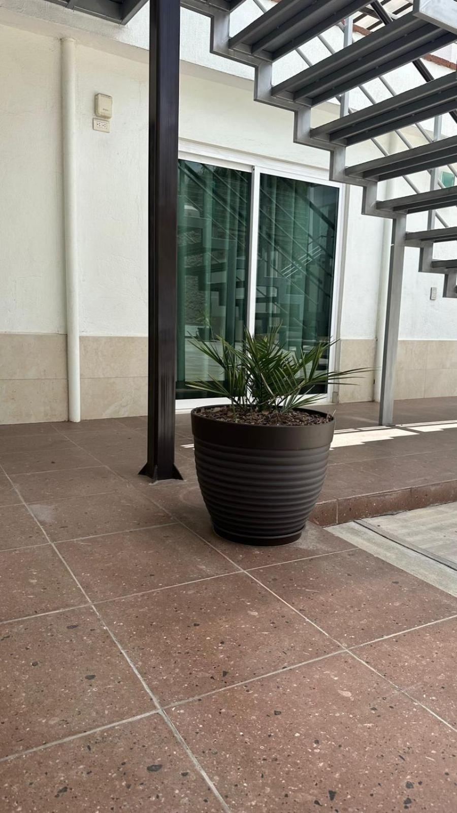 CASA BRAVO