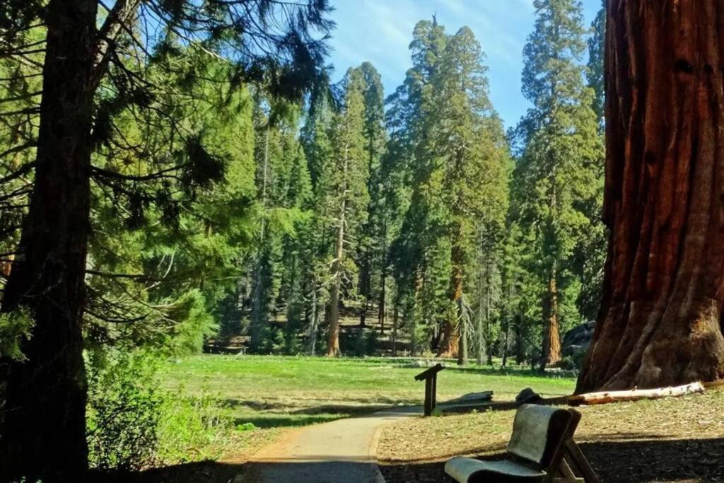 Sequoia Cabin by the River
